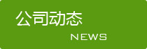 江浙沪出售香橼树苗