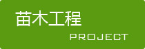 江苏丹桂树销售