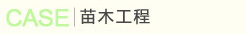 丹桂树哪家好