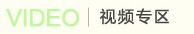 金桂树苗